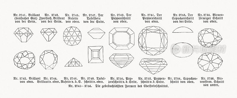 各种形式的宝石切割、木刻，出版于1893年