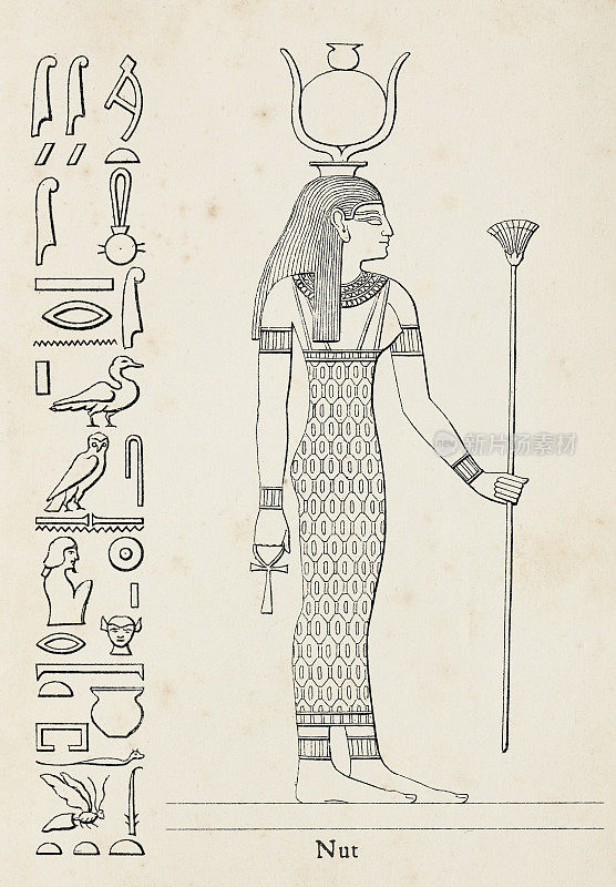 古埃及坚果的象形文字，天空女神