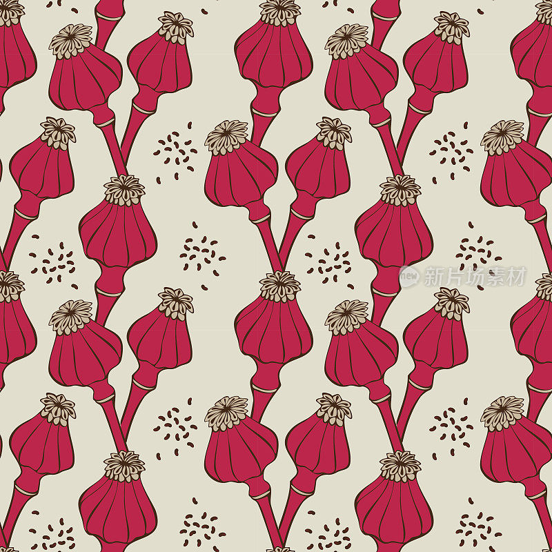 图案罂粟种子豆荚万岁品红，风格化手绘涂鸦。
