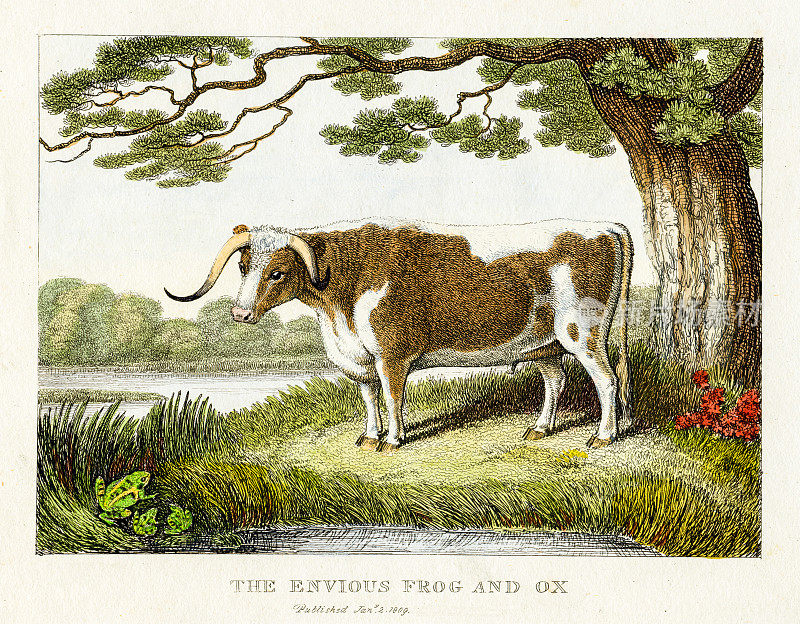 嫉妒的青蛙和牛-“动物的新工作”，伦敦，1811年手工着色