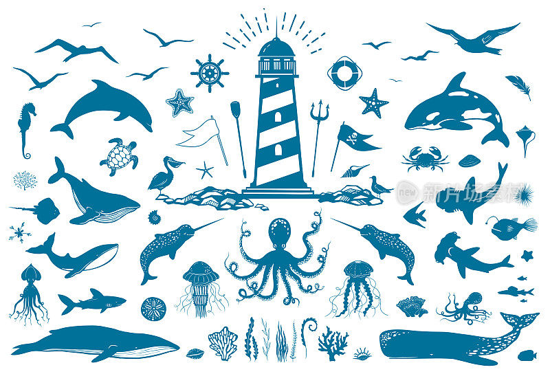 矢量航海设置与灯塔和海洋动物。鲸鱼，海豚，鱼，海鸥，珊瑚和水生植物孤立在白色。大集合的矢量插图与海洋生物。
