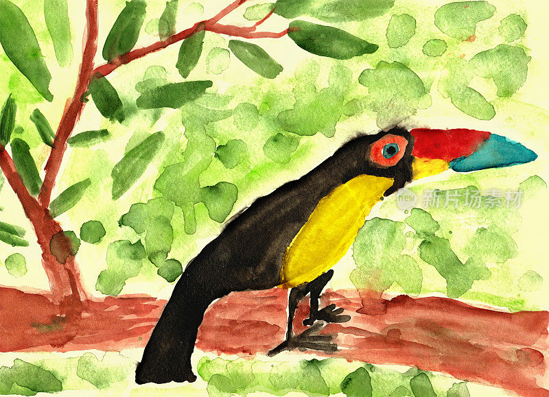 巨嘴鸟像小孩手绘的水彩画艺术。树枝上长着大嘴巴的黑色野鸟。