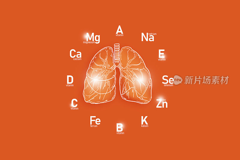 手绘的人体肺部插图和浅灰色背景上的基本营养素图标。
