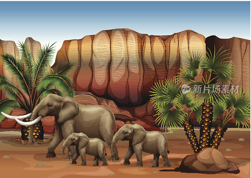 沙漠中的大象