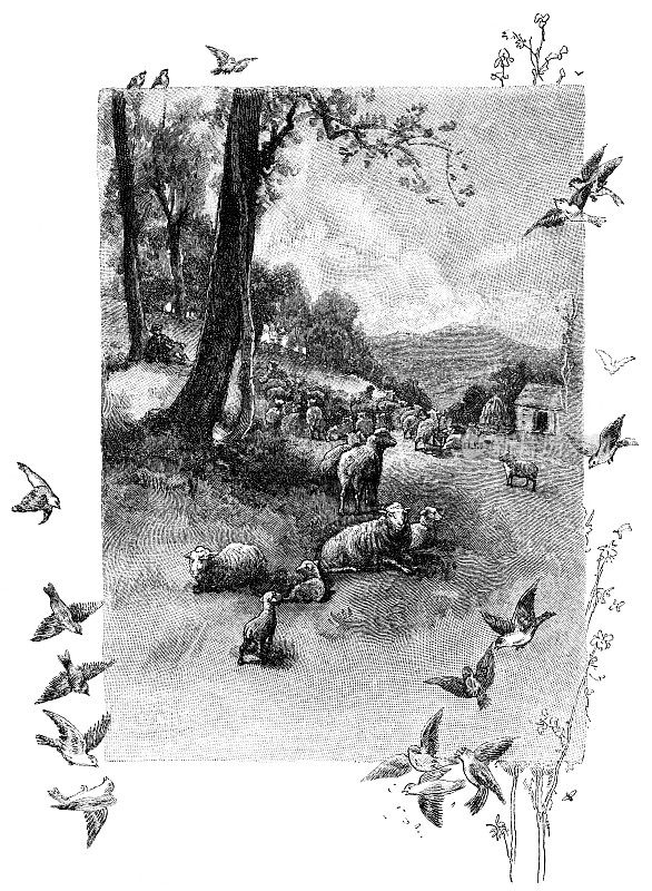 农场上的羊和鸟的复古雕刻
