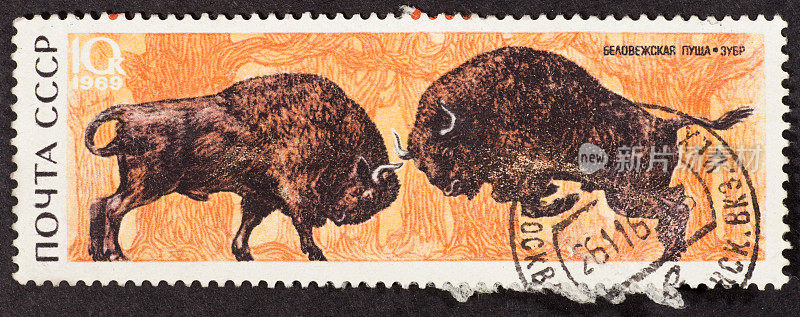 苏联邮票