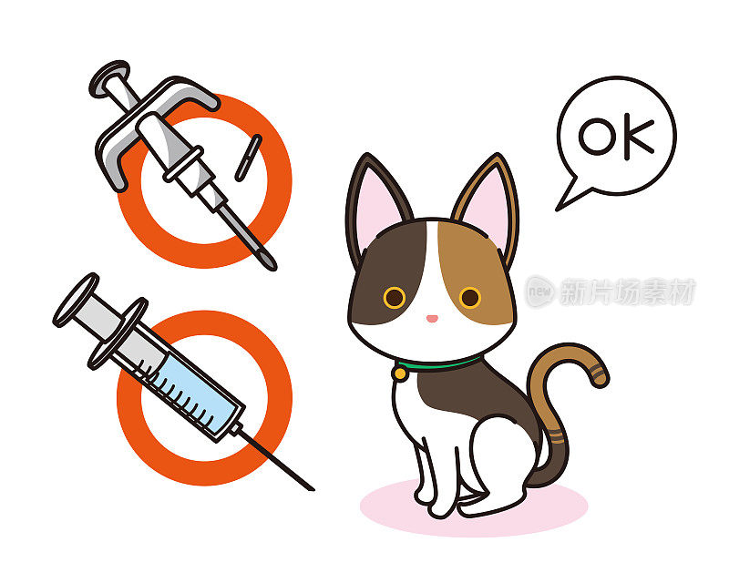 花布猫与微芯片和疫苗接种