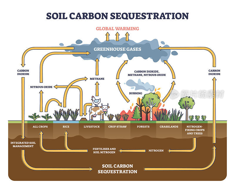 土壤固碳与温室气体吸收示意图