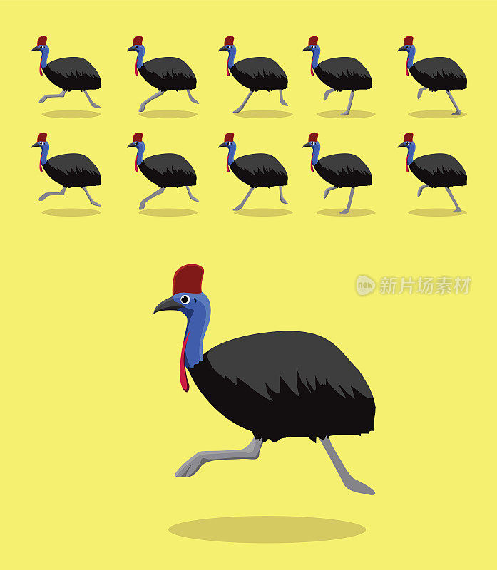 动物动画序列食火鸡运行卡通向量