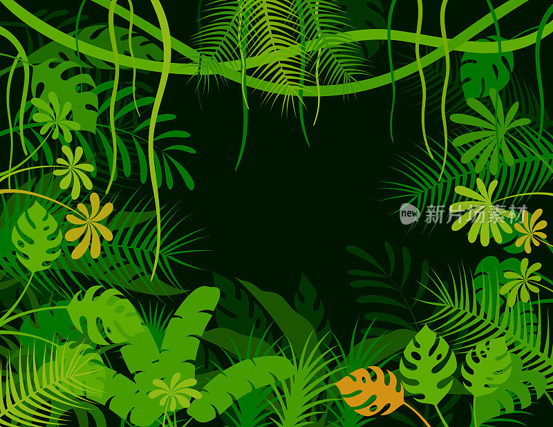 热带雨林的背景。丛林的海报。