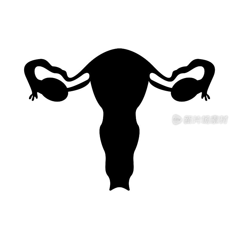 女性生殖器的剪影。矢量图