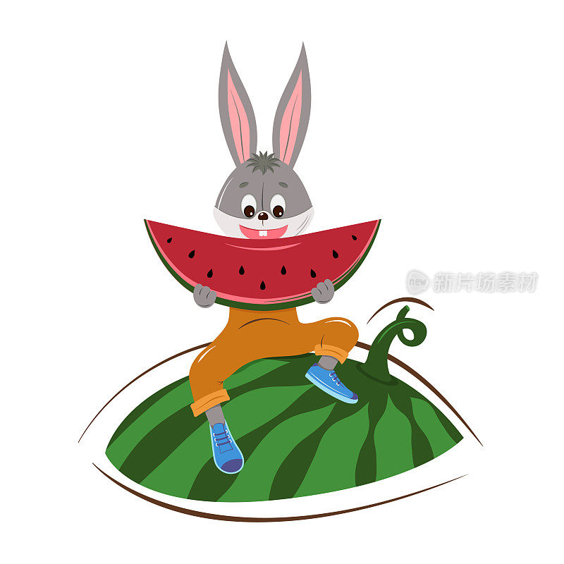 可爱的兔子坐在西瓜上吃西瓜。