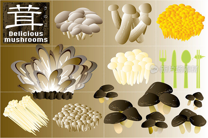 许多吃的和美味的蘑菇