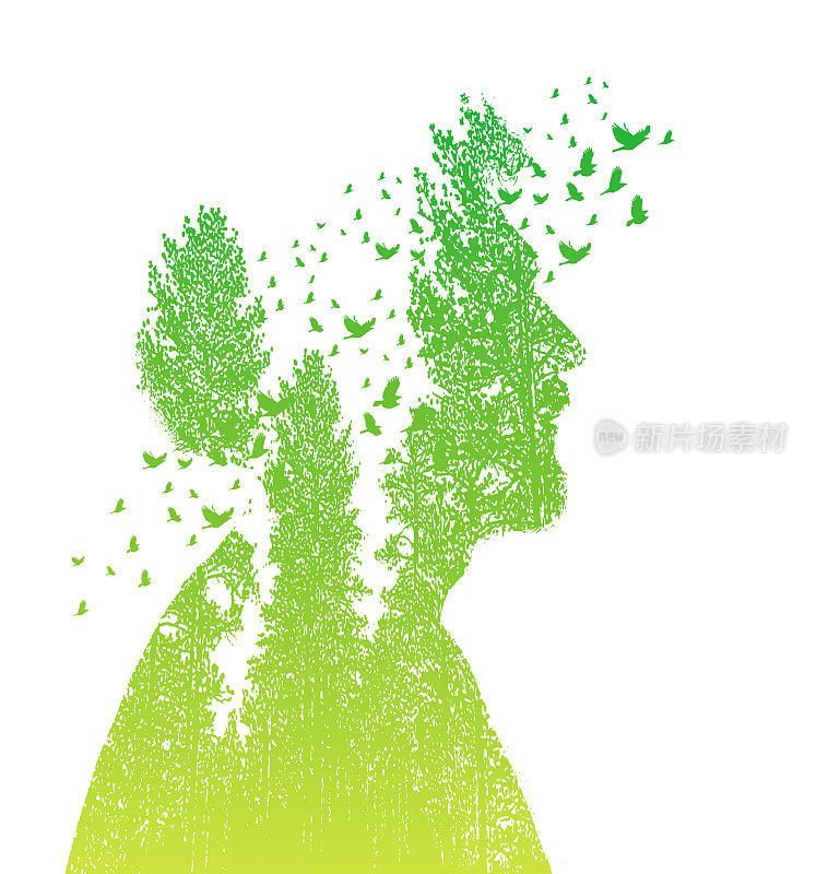 印第安人,树木和鸟类