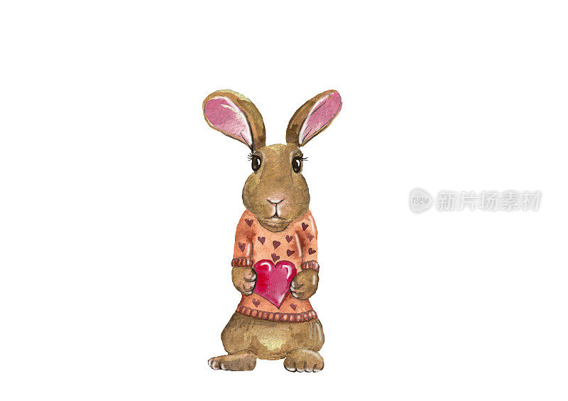 水彩手绘插画兔与粉红色的心。兔子抱着红红的心。卡通风格的动物。设计封面，背景，装饰，明信片