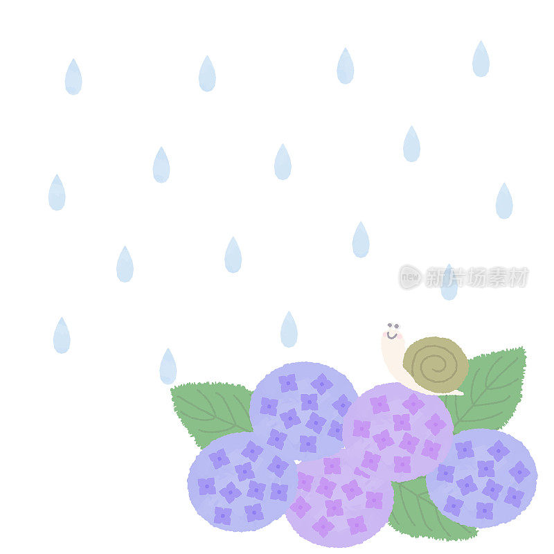 下雨天的蜗牛和绣球花