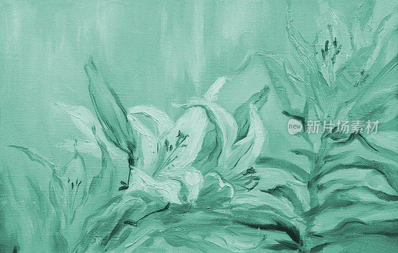 插图油画风景在绿色中盛开白色的百合花