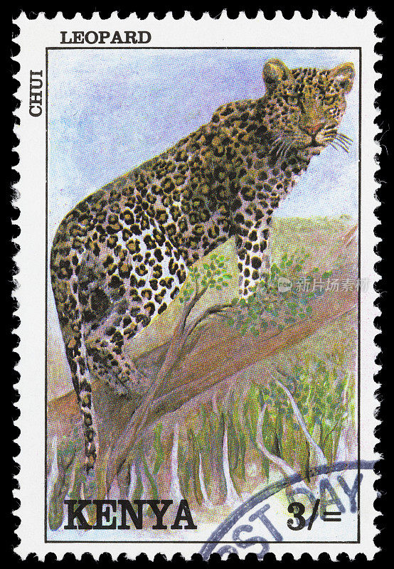 肯尼亚豹邮票