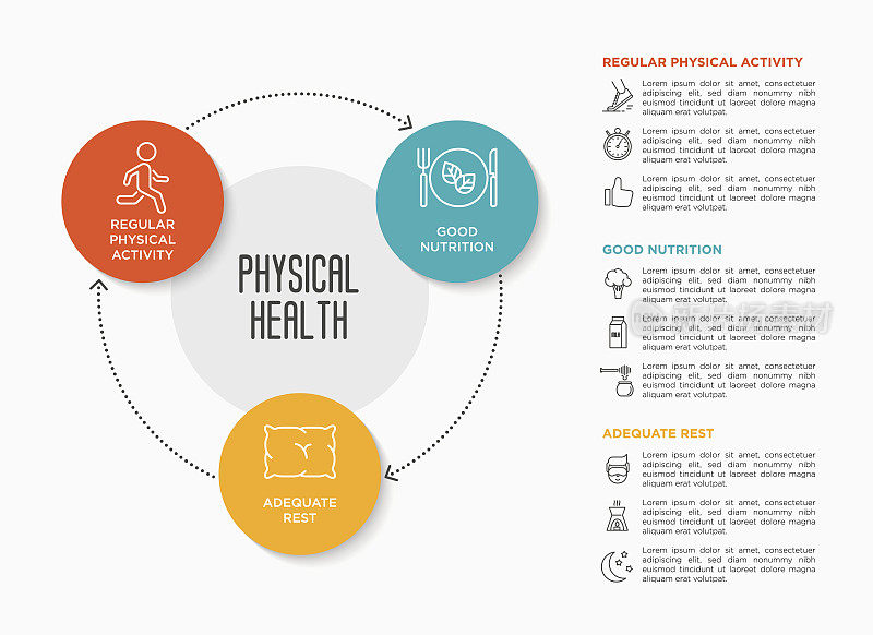 健康生活方式信息图表。运动，跑步和健康的营养和充足的睡眠。细线图标。矢量插图。
