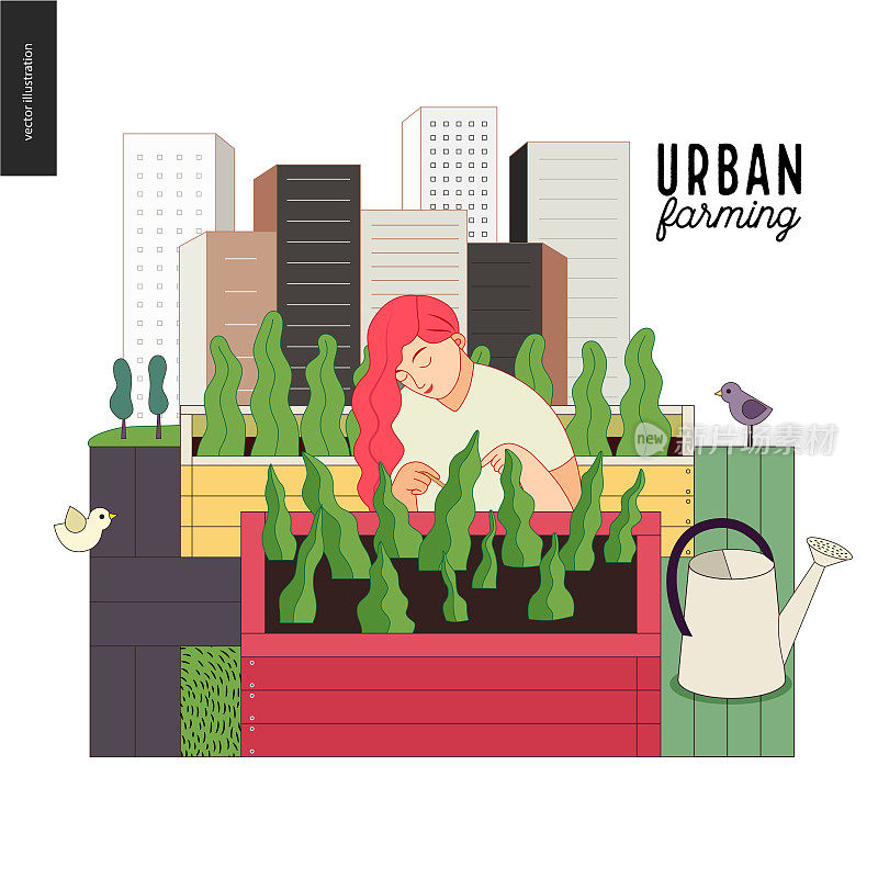 城市农业和园艺