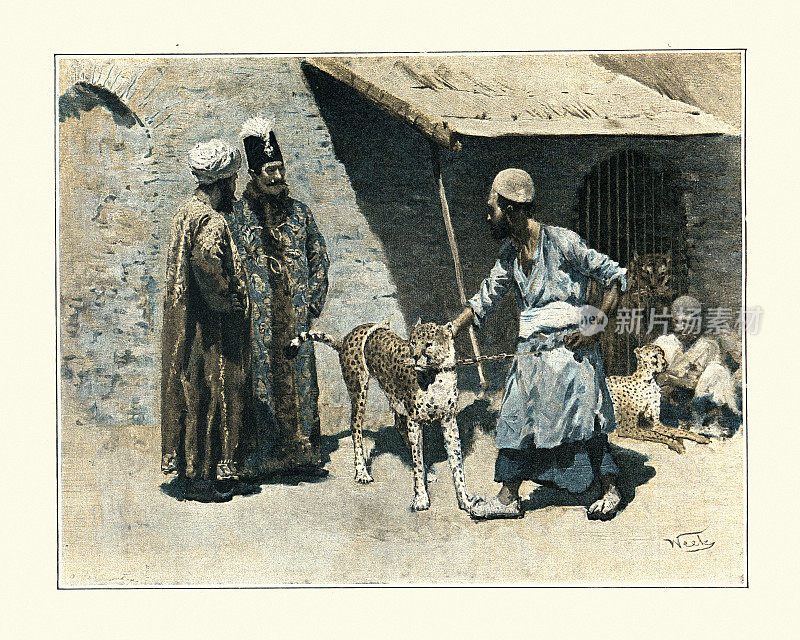 19世纪90年代，波斯国王和他的宠物大猫，猎豹