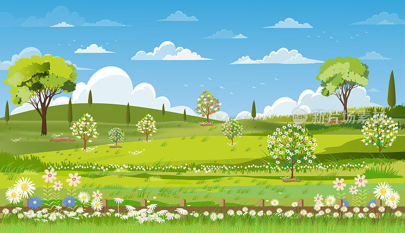 春天的自然景观与草地，蓝天和云，全景背景农场土地在阳光明媚的一天，宁静的乡村在春天的早晨，卡通向量为春夏横幅背景