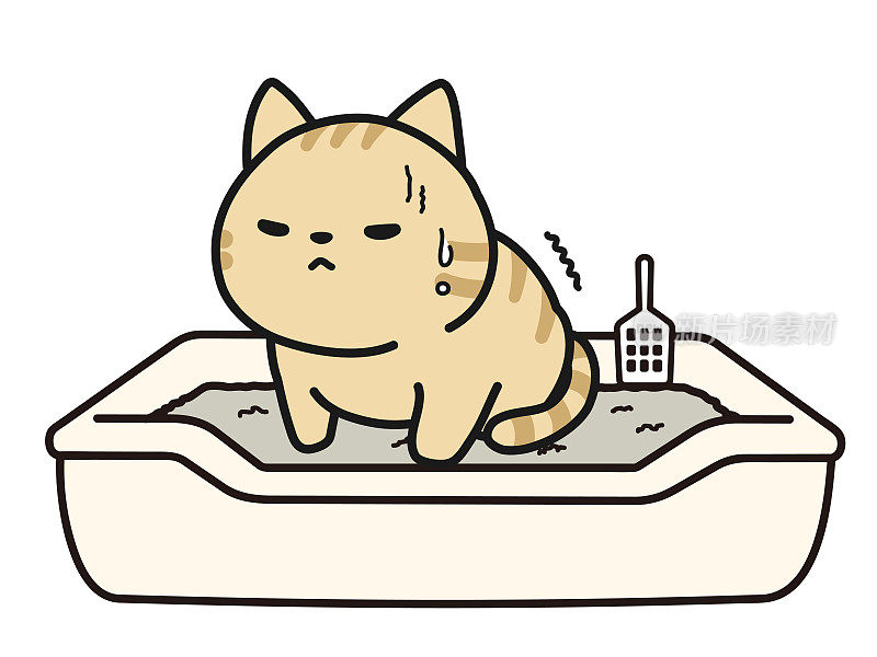 一只猫在厕所里撒尿