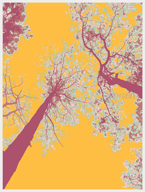 彩色木刻风格的松树自然风光景观
