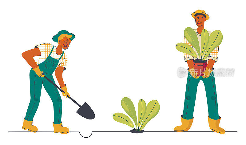 男人种植植物，用铲子挖地，在家里的花园里种植植物。