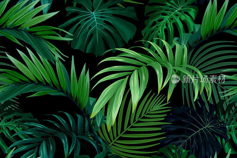 无缝手绘热带图案与monstera棕榈叶在黑暗的背景。矢量插图。