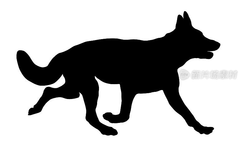 奔跑的德国牧羊犬小狗。黑狗轮廓。宠物的动物。孤立在白色背景上。
