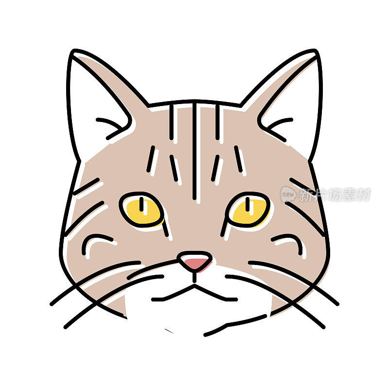 美国短毛猫可爱的宠物颜色图标矢量插图