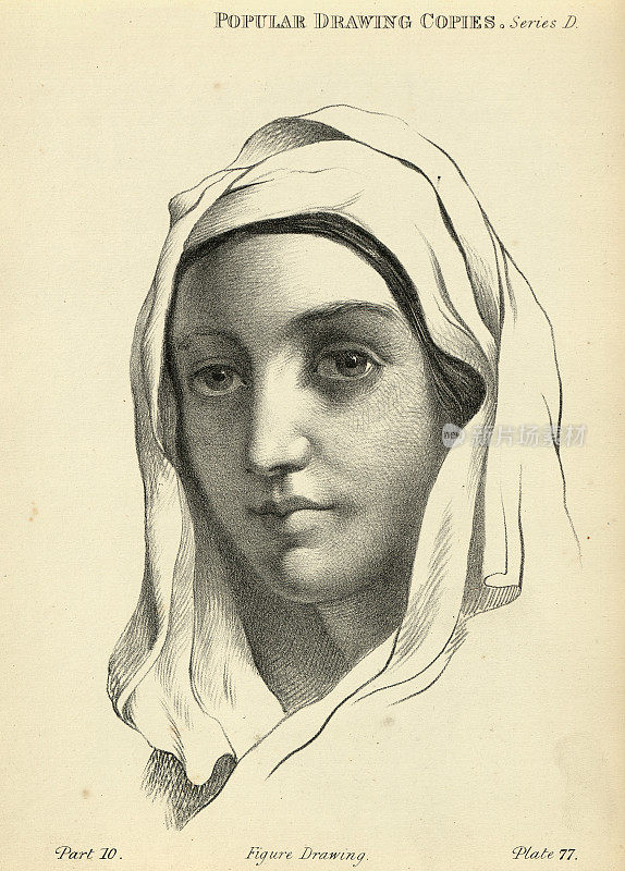 素描人类的脸，年轻的女人，维多利亚艺术人物的19世纪的副本