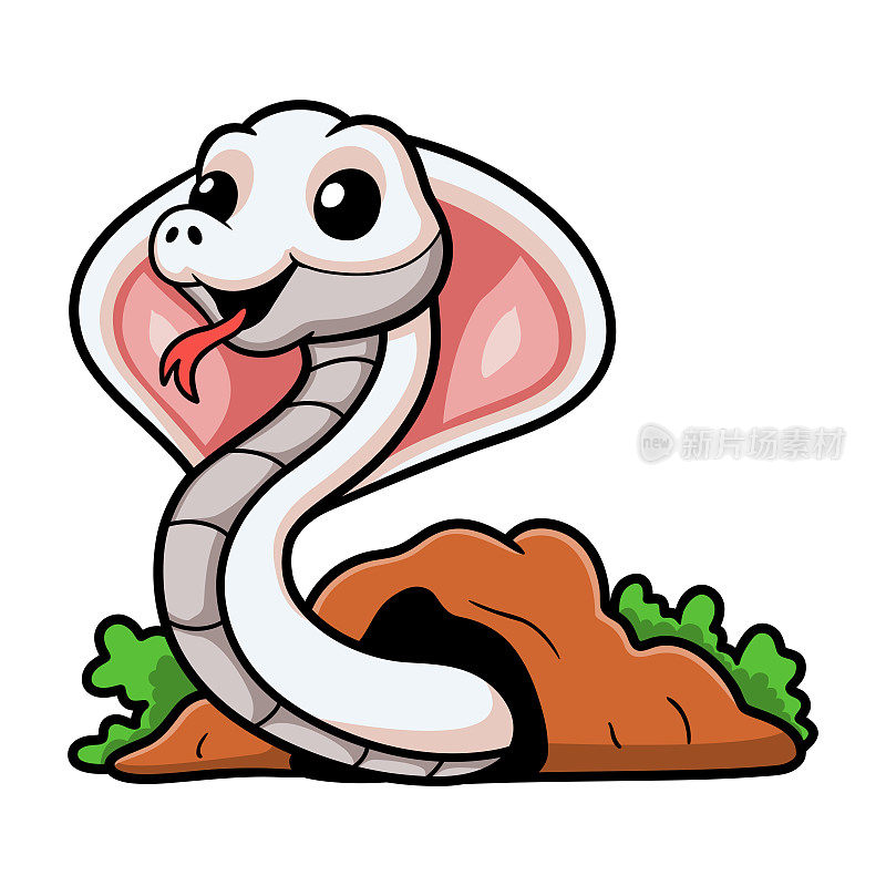 可爱的亮色眼镜蛇蛇卡通从洞出来