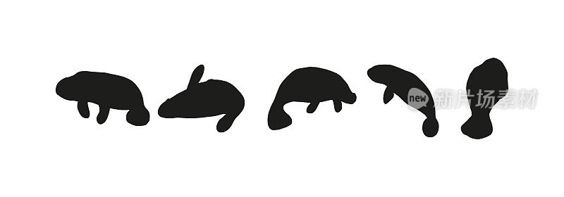 海牛。斯堪的纳维亚风格的海底风格。保留海牛的概念。角色设计。矢量插图隔离在白色背景。