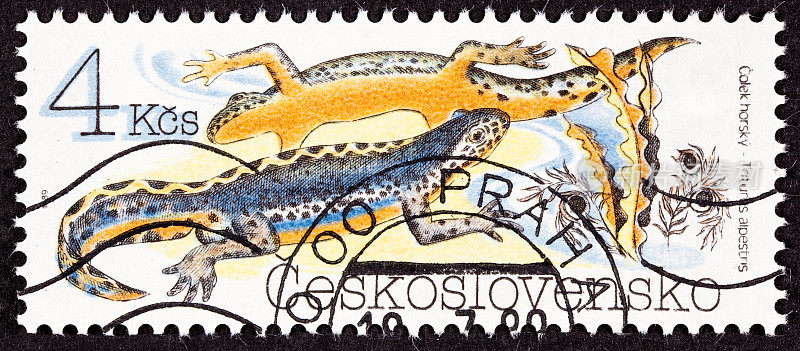 取消捷克斯洛伐克邮票橙色蓝色高山蝾螈，高山鱼龙，