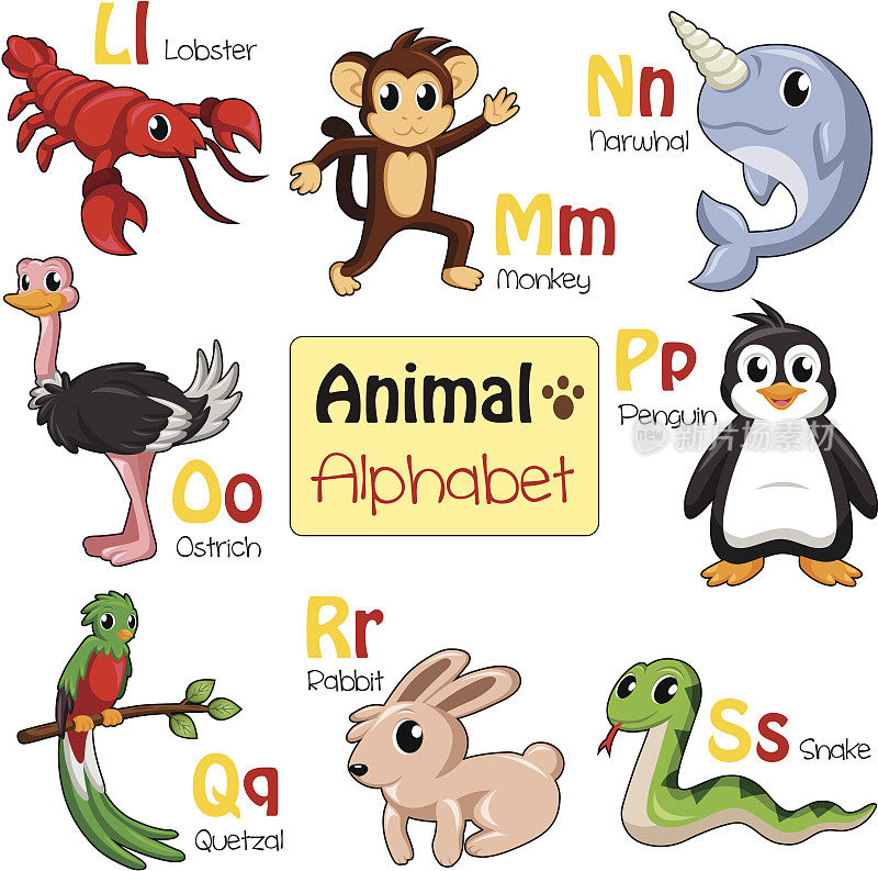 从L到S把动物标上字母
