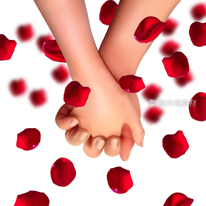 现实的情人的手和玫瑰花瓣落在孤立的白色背景。爱和友谊。3月8日情人节3d插画。矢量图