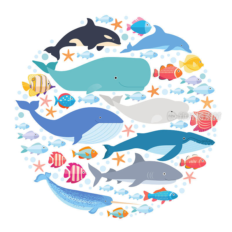 海洋哺乳动物和鱼类围成一圈。独角鲸，蓝鲸，海豚，白鲸，座头鲸，露脊鲸和抹香鲸载体隔离