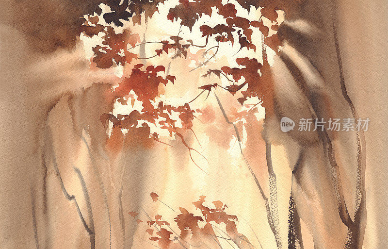 秋光中的森林水彩景观