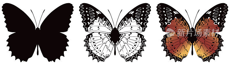 蝴蝶在白色背景矢量插图。有两种版本，黑色形状和黑白