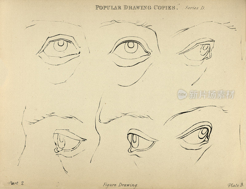 素描眼睛，维多利亚流行的人物画副本