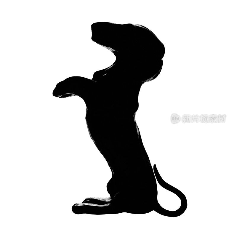 腊肠犬獾犬品种，孤立的血统雕像剪影，垂直插图，大细节黑色微距离特写，犬舍俱乐部概念剪纸