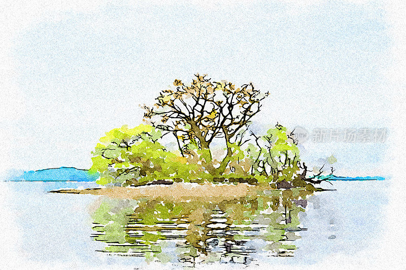 平静的湖面倒影的树木在岛上的洛蒙德湖