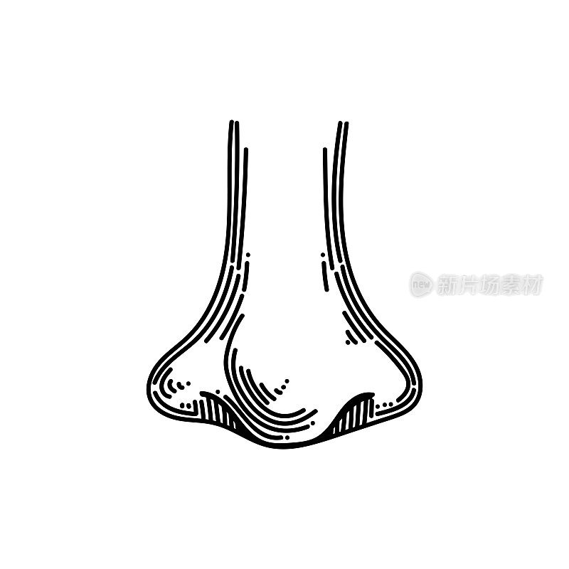 鼻子线图标，草图设计，像素完美，可编辑笔触。标志、标志、符号。