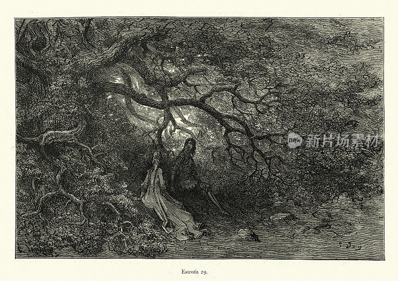 魔法森林中的少女和骑士,梦幻