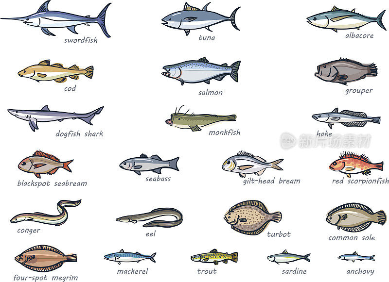 图标集适销鱼，手绘风格