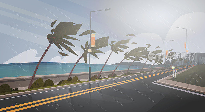 来自海洋飓风的龙卷风，棕榈树和公路上的大风，热带自然灾害概念