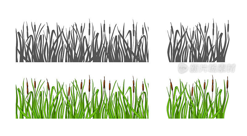 草与芦苇设置剪影和颜色选项。孤立的背景。矢量插图。