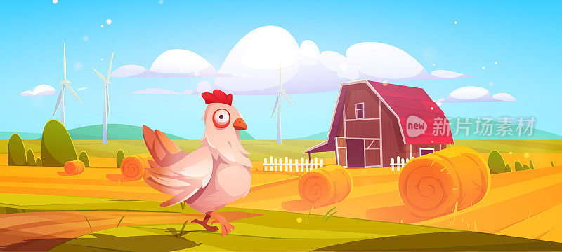 农场自然农村背景上的谷仓和鸡